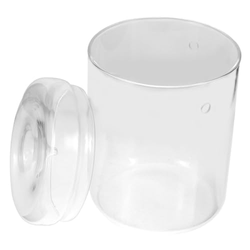 SOLUSTRE Mikrolandschafts DIY Glasflasche für Pflanzen Ökologische Terrarium Dekoration Kompakte Blumen und Mooslandschaft Büro und Wohnaccessoire SOLUSTRE Mikrolandschafts DIY Glasflasche für Pflanzen Ökologische Terrarium Dekoration Kompakte Blumen und Mooslandschaft Büro und Wohnaccessoire von SOLUSTRE
