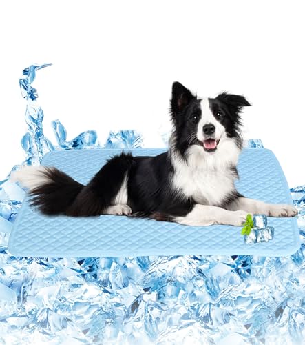 SOMOYA Kühlmatte für Hunde, Kühlkissen, Decke, Schlafmatte, waschbar, Eisseide, atmungsaktiv, für große Hunde und Katzen, Größe XL SOMOYA Kühlmatte für Hunde, Kühlkissen, Decke, Schlafmatte, waschbar, Eisseide, atmungsaktiv, für große Hunde und Katzen, Größe XL von SOMOYA