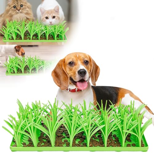 Silicone Grass Mat for Cats, Silicone Grass Snuffle Mat for Cats, Sniffing Mat for Cats and Dogs, Indoor Pet Feeding Mat for Anti-Gulping Healthy Eating Diet von SONAXO