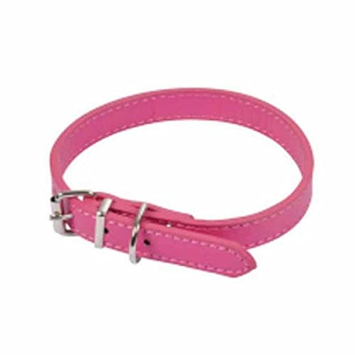 SONDEY Paris Prix Hundehalsband, einfarbig, 30 cm, Fuchsia von SONDEY