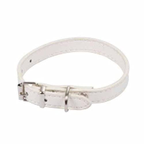 SONDEY Paris Prix Hundehalsband, einfarbig, 30 cm, Weiß von SONDEY