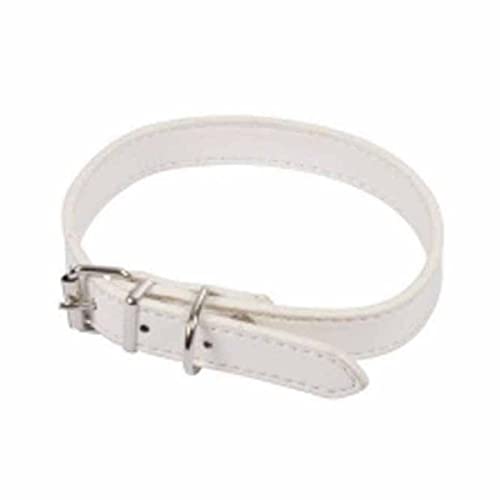 SONDEY Paris Prix Hundehalsband, einfarbig, 40 cm, Weiß von SONDEY