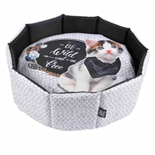 SONDEY Paris Prix Katzenbett, rund, 48 cm, Grau von SONDEY