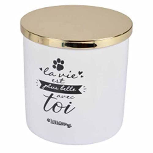 SONDEY Paris Prix Leckerlibox für Hunde & Katzen, Motiv: La Belle Vie, 14 cm, Weiß von SONDEY