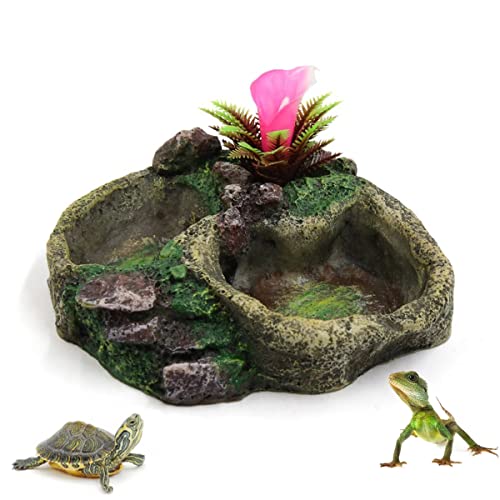 SOONHUA Tiernahrungsschüssel Reptilienwasserschale Futterschale Harzimitation Rock Feeder Bowl Terrarien Dekoration für Schildkrötenechse von SOONHUA