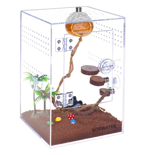 SORWATEE Spinnen-Terrarium-Set, Springspinnengehege mit Versteck, Seilbrücke, Leiter, Mikro-Habitat-Terrarium für kleine Baumbewohner, Reptilien, Baumspinnen-Gehege (15,2 x 15,2 x 22,9 cm) von SORWATEE