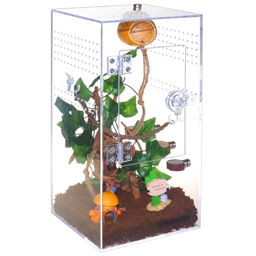 SORWATEE Spinnen-Terrarium-Set, Springspinnengehege mit Versteck, Seilbrücke, Leiter, Mikro-Habitat-Terrarium für kleine Baumbewohner, Reptilien, Baumspinnen-Gehege (15,2 x 15,2 x 30,5 cm) von SORWATEE