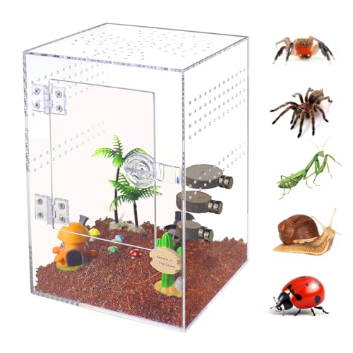 SORWATEE Springspinnengehege, Acryl-Springspinnen-Terrarium mit Fronttür, Mikro-Lebensraum-Terrarium für kleine Baumbewohner, Reptilien, Baumspinnen-Gehege (15,2 x 15,2 x 22,9 cm) von SORWATEE