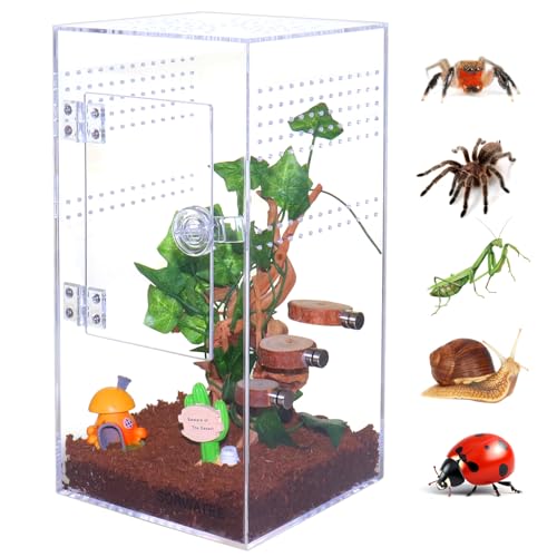 SORWATEE Springspinnengehege aus Acryl, Springspinnen-Terrarium mit Fronttür, Mikro-Lebensraum-Terrarium für kleine Baumbewohner, Reptilien, arboreale Vogelspinnen-Gehege (15,2 x 15,2 x 30,5 cm) von SORWATEE