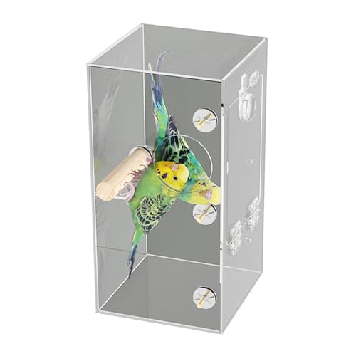 SOUTHJIELING Vogelkäfig montierte Vogelzuchtbox für Papageien Nonsplash Futterbox mit Sitzstangen für kleine mittelgroße Vögel klare Badewanne von SOUTHJIELING