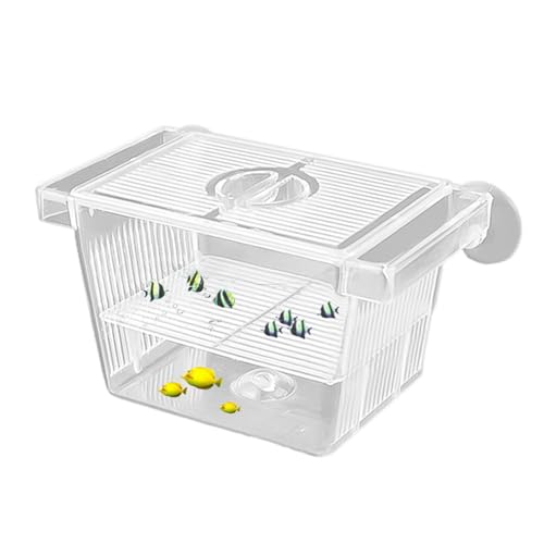 Aquarium Breeder Box, Einstellbare Fisch Brutkasten Sichere Fischzuchtkammer Inkubator Züchter Box mit Saugnäpfen, Multifunktionaler Fisch Fry Tank, Süßwasser Fischbox für Verletzte von SOYDAN