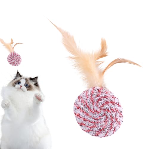 SOYDAN Katzenspielzeugball, Katzenspielzeugball für Indoor-Katzen – weiches Spielzeug für Katzen, Teaser für Katzen, Spielzeug für Kätzchen, Federball von SOYDAN