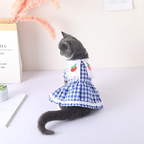 Erdbeerkleid für Katzen, süße Sommerkleidung, Prinzessin, Katzenkleid, Kätzchenröcke, kariert, Punkte-Druck, Kleidung von Sozy