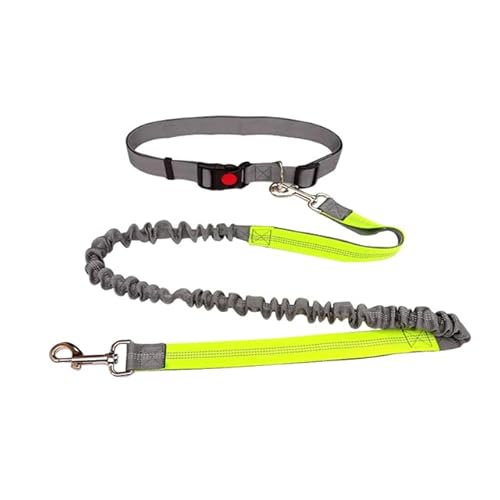 Hand-Hundeleine mit Doppelgriff, Bungee-Leine, reflektierendes Traktionsseil für Haustiere, Outdoor-Trainingsleine für kleine, mittelgroße und große Hunde von Sozy