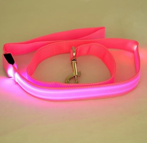 Mesh Pet Leash Led Glühende Hundeleine Draht Mesh Hundeleine 120cm Länge Hundeleine von Sozy