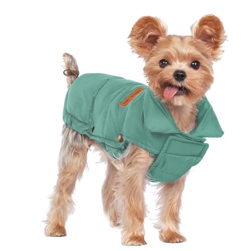 SPACE LION Essential Hundejacke mit Entendaunen, warm, bequem, leicht, wasserabweisend, lässiger Wintermantel für Haustiere (Grün, XS) von SPACE LION