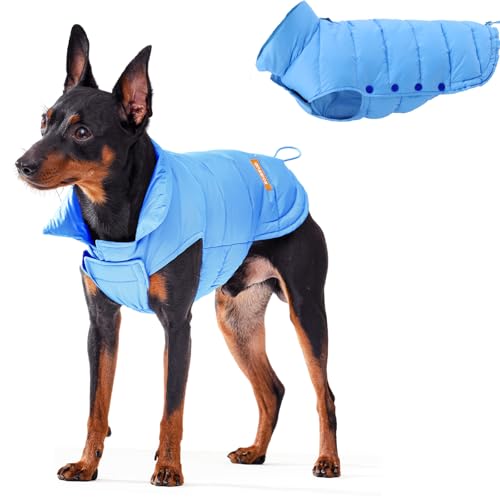 SPACE LION Essential Hundejacke mit Entendaunen, warm, bequem, leicht, wasserabweisend, lässiger Wintermantel für Haustiere (Hellblau, M) von SPACE LION