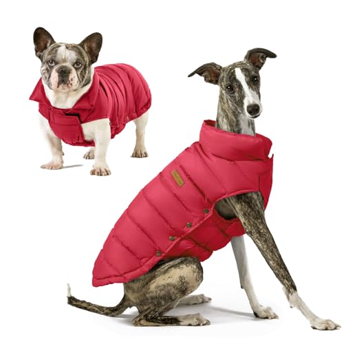 SPACE LION Essential Hundejacke mit Entendaunen, warm, bequem, leicht, wasserabweisend, lässiger Wintermantel für Haustiere (Rot, Größe S) von SPACE LION