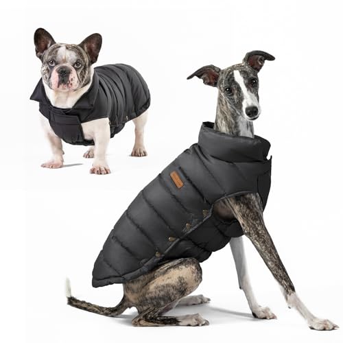 SPACE LION Essential Hundejacke mit Entendaunen, warm, bequem, leicht, wasserabweisend, lässiger Wintermantel für Haustiere (Schwarz, Größe L) von SPACE LION