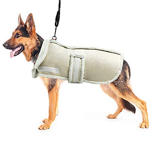 XUANQIFC Hunde-Winterjacke, warmer, winddichter Hundepullover für kleine Hunde, dicker Fleece-Hundemantel für mittelgroße und große Hunde (XL) von XUANQIFC