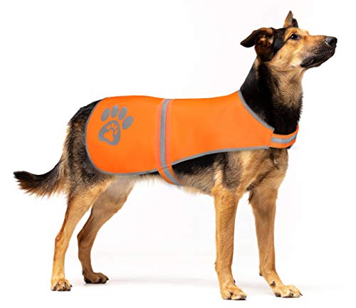 SPOFLY Blaze Orange Jagdweste, Sicherheits-reflektierende Hundejacke für kleine, mittelgroße und große Hunde, Klettverschluss, hohe Sichtbarkeit Sicherheit vor Jägern, Autos anderen (Blaze Orange, M) von SPOFLY