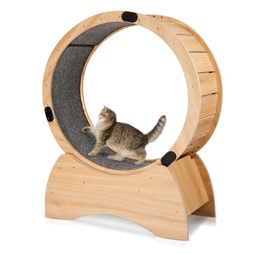 SPOFLYINN Massives Holz-Katzen-Trainingsrad, Haustier-Gewichtsverlust, tägliche Übung, körperliche Aktivität, Rad zum Laufen, Spinnen, Kratzen, Spaß, Eiche von SPOFLYINN