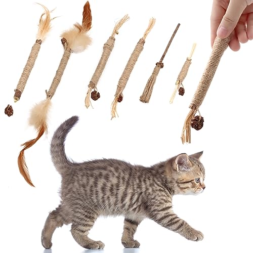 SPOKKI 6 Stück Katzenminze Sticks, Katzenspielzeug Set Matatabi Stick für Katzen Zahnpflege Entfernen von Zahnstein und erfrischendem Atem Organische Interaktion von SPOKKI