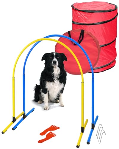 SPORTIKEL24 Superhund Hoopers Anfänger-Set in Blau & Gelb - Robustes Hoopers Trainingsequipment für Hunde - Ideal für Hundesport-Einsteiger - VDH-konform von SPORTIKEL24