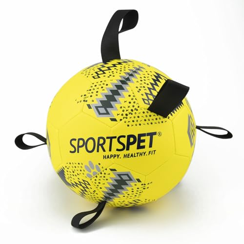 SPORTSPET Hundefußball mit Haltegriffen, langlebige interaktive Hundebälle, schwimmendes Wasser-Hundespielzeug für das Spielen im Innen- und Außenbereich (Größe 2, Dunkelgrün) von SPORTSPET