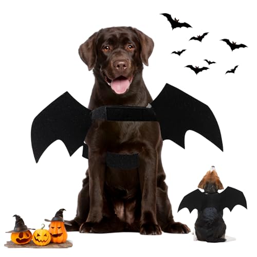 SPORWAY Haustier Fledermausflüge: Fledermausflügel Hund, Hundekostüm, Katze Hund Fledermaus Kostüm,Halloween,Hundekostüme,Party,Cosplay,Dekoration,Schwarze Bekleidung für große Katzen Hunde von SPORWAY