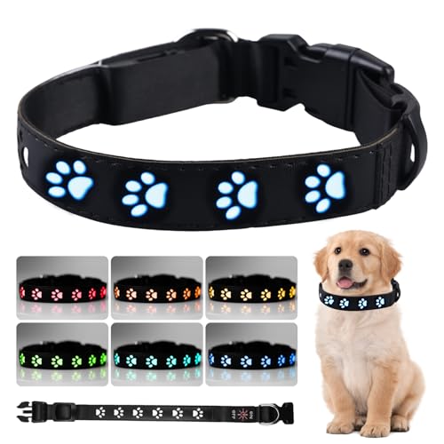 SPORWAY Leuchthalsband Hund Aufladbar: LED Halsband Hund Leuchtend Wasserdichtes, LED Leuchthalsband für Hunde 7 Farbwechsel Einstellbare für Kleine Mittlere Hund, 30cm - 40cm von SPORWAY