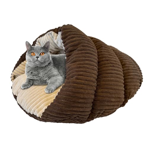 Ethical Pets Sleep Zone Hundebett aus Cord, mit Stoffunterseite, 55,9 x 43,2 cm, Schokoladenbraun/attraktiv, langlebig, bequem, waschbar, von Ethical Pets von SPOT