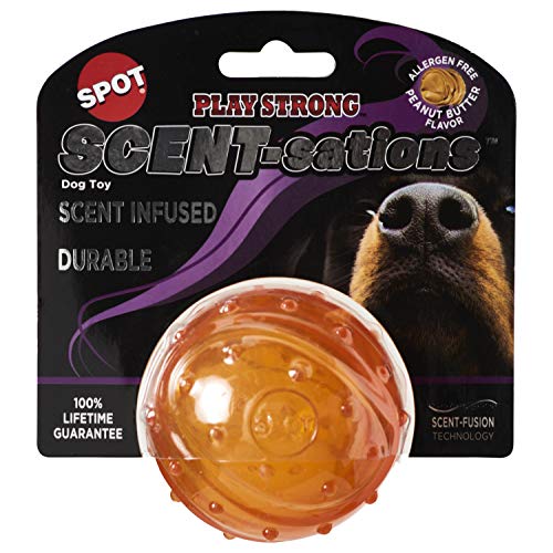 Play Strong Scent-Sation Ball 7 cm / Hundespielzeug für aggressive Kauer | Kauspielzeug für Hunde | Unzerstörbares Hundespielzeug | Ball | Kauspielzeug für aggressive Hunde | interaktives Hundespielzeug / Erdnussbutter Geschmack von SPOT