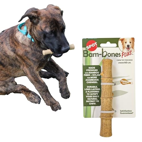 SPOT Bam-Bones Plus Bambusstab – Bambusfaser und Nylon, langlebig, Kauspielzeug für Aggressive Kauer, tolles Spielzeug für Erwachsene Hunde und Welpen unter 27 kg, splitterfrei, 13,3 cm, von SPOT