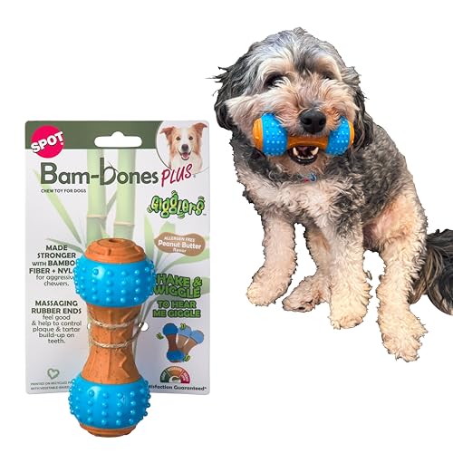 SPOT Bam-Bones Plus Giggles Hantel, langlebiges Kauspielzeug für mittelgroße Aggressive Kauer, Bambusfaser und Nylon, doppelte Textur, Massage-Gummi-Enden, Erdnussbutter-Geschmack, 14 cm von SPOT