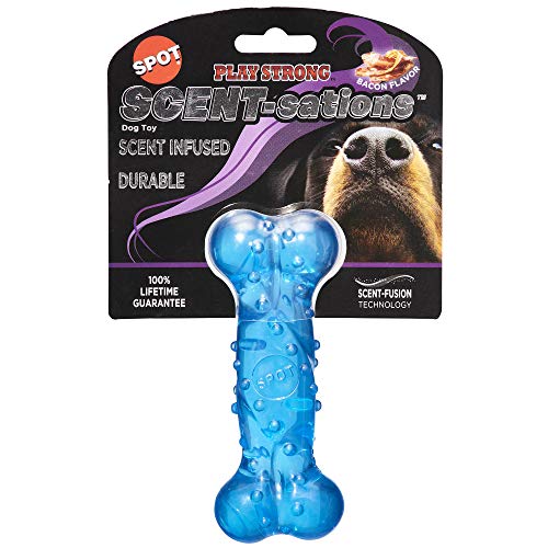 SPOT Play Strong Scent-sations Knochen mit Speckgeschmack, 12,7 cm, Hundespielzeug für aggressive Kauer, Knochen, Kauspielzeug für aggressive Hunde, interaktives Hundespielzeug, Kauspielzeug für aggressive Kauer, Blau von SPOT