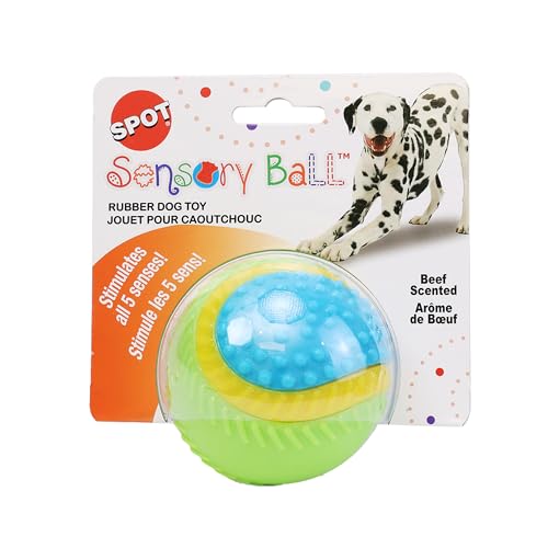 ethischen Sensory Ball Hund Spielzeug von SPOT