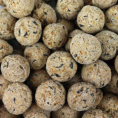 SQUAWK Suet-Fettbällchen | Premium-Wildvogelfutter | Verbesserte Formel für das ganze Jahr | Natürlich gemischt, energiereich & proteinreich | Voller frischer, nahrhafter Fette, Fasern (Packung 100) von SQUAWK