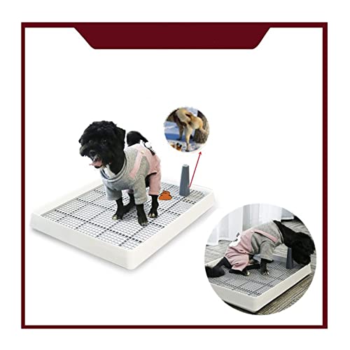 SRKATI Haustiertoilette 38.3x30.9x6.5cm Tragbare Haustier Toilette Indoor Training Hund Töpfchen Pad Kunststoff Tray Kleine Hund Katze Wurf Box Pet Supplies Hundetoilette von SRKATI