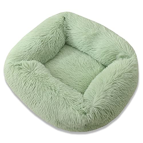 SRKATI Hundebett Katzenbett Hundebett, Plüsch-Katzenmatte, Hundematte für kleine, mittelgroße Hunde, Welpenbett, Nestkissen(Green,S-55x45x20cm) von SRKATI