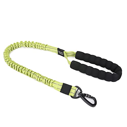 SRKATI Hundeleine Elastische reflektierende Leine für große Hunde Schleppleine für Hunde(Green) von SRKATI