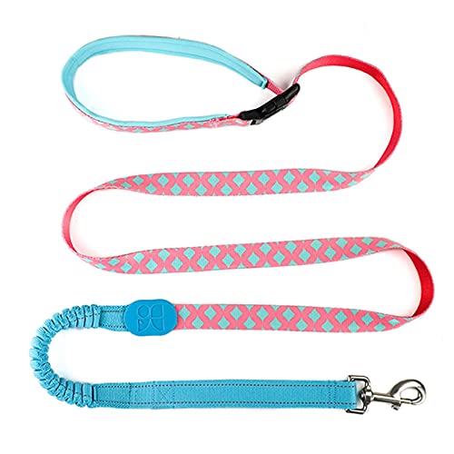 SRKATI Hundeleine Hundeleine Running Hands Free Elastic Reflective Training Pet Bungee Hundeleine Schleppleine für Hunde(Bobby) von SRKATI