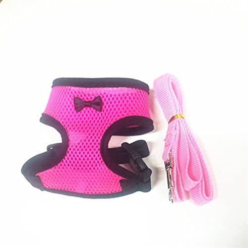 SRKATI Hundeleine Laufleine für Hündchen, Halsband, Polyester, für kleine, mittelgroße Hunde, Katzen, Haustiere Schleppleine für Hunde(Rosered(with Leash),M) von SRKATI