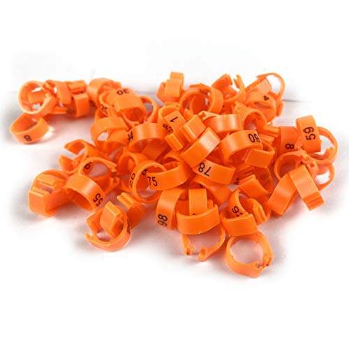 Mehrfarbige Vogelbeinbänder Fußring Beinring nummeriert 1-100 8 mm Renntaubenring Papagei Küken Ente Clip Ringe Band (Orange) von SRRPS PIGEON