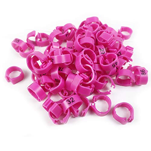 Mehrfarbige Vogelbeinbänder Fußring Beinring nummeriert 1-100 8 mm Renntaubenring Papagei Küken Ente Clip Ringe Band (Pink) von SRRPS PIGEON