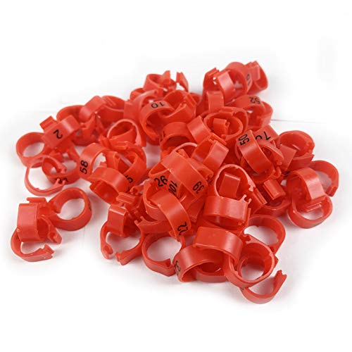 SRRPSPIGEON Taubenring, Vogelbeinbänder, Fußring, Beinring, mehrfarbig, nummeriert 1–100, 8 mm, Racing Papagei Küken Ente Clip Ringe Band (rot) von SRRPSPIGEON