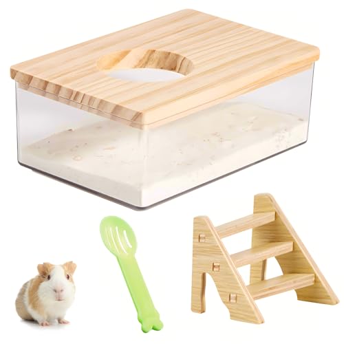 SRTSTR Hamster Sandbad Container Hamster Toilette mit Leiter und Schaufel Hamster Badezimmer Acrylquadrat Transparent Sandbad Badewanne für Hamster Mäuse Lemming Rennmäuse von SRTSTR