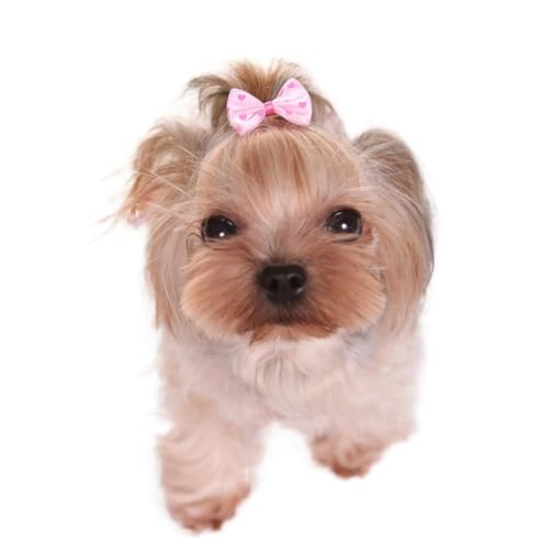 SSDH Haarnadeln für Hunde Haarschmuck für Yorkshire Maltese Teddy Haarschmuck für Hunde mit Schleife von SSDH