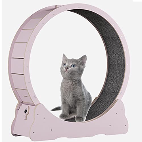 Katzenlaufrad, Katze Laufband Aus High Fiber Board mit Schloss, Winziger Spalt Und Leise Riemenscheiben Katzenrad, Katzenlaufband Haustier Spielzeug,Pink-XL von SSQUZA