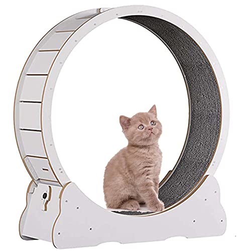 Katzenlaufrad, Katze Laufband Aus High Fiber Board mit Schloss, Winziger Spalt Und Leise Riemenscheiben Katzenrad, Katzenlaufband Haustier Spielzeug,White-XL von SSQUZA